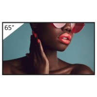 Sony FW-65BZ40L pantalla de señalización Pantalla plana para señalización digital 165,1 cm (65") LCD Wifi 700 cd / m² 4K Ultra HD Negro Android 24/7 (Espera 4 dias)