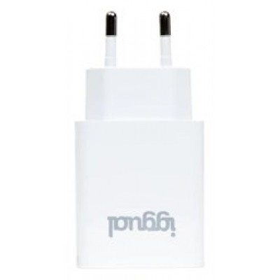 iggual Cargador de pared 1xUSB 5V/2.4A (12W)