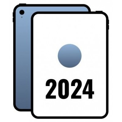 Apple IPAD WI-FI 256GB BLUE