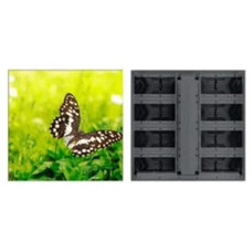 (DHI-PHGOA3.91-FC) DAHUA LED EXTERIOR 3.91 IP65, CABINET M2, 1000*1000 5000 NITS, BIN 2 (Espera 4 dias) (DHI-PHGOA3.91-FC) DAHUA LED EXTERIOR 3.91 IP65, CABINET M2, 1000*1000 5000 NITS, BIN 2 (Espera 4 dias)