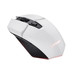 MOUSE TRUST GAMING WIRELESS RGB GXT 110W FELOX 25069 MOUSE TRUST GAMING WIRELESS RGB GXT 110W FELOX 25069