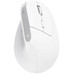 MOUSE TRUST WIRELESS ERGO BAYOII+ 25399 MOUSE TRUST WIRELESS ERGO BAYOII+ 25399