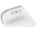 MOUSE TRUST WIRELESS ERGO BAYOII+ 25399 MOUSE TRUST WIRELESS ERGO BAYOII+ 25399