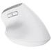 MOUSE TRUST WIRELESS ERGO BAYOII+ 25399 MOUSE TRUST WIRELESS ERGO BAYOII+ 25399