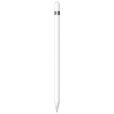 APPLE PENCIL (1st GENERATION) 2022 APPLE PENCIL (1st GENERATION) 2022